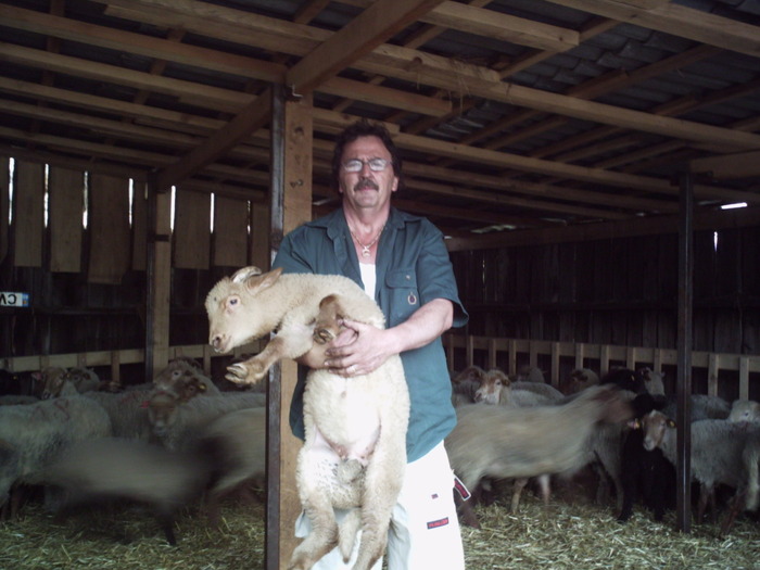 am reusit sa prind un miel am reusit sa prind un miel