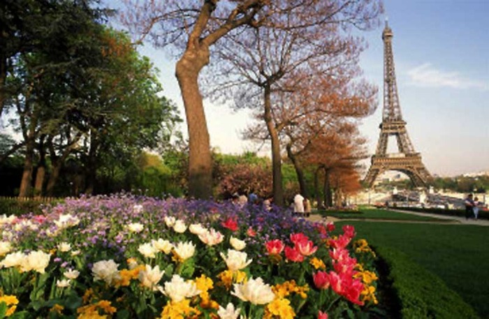 416054eiffel-tower-with-spring-flowers-paris-france-posters - Poze frumoase