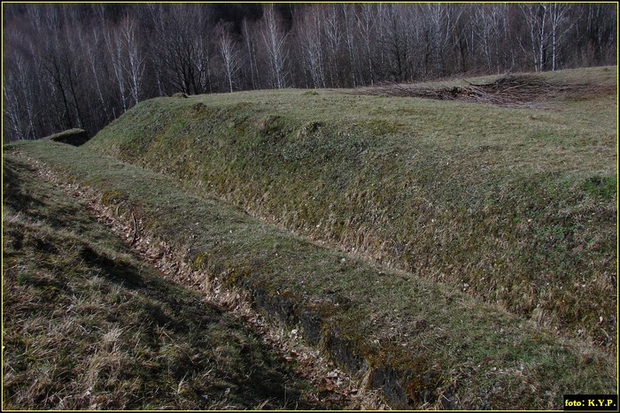 DSC01954 - Cetatea Blidaru 03-04-2010