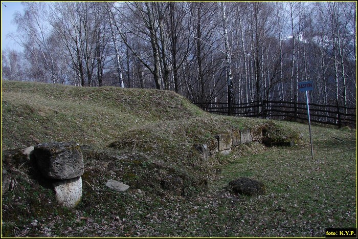 DSC01972 - Cetatea Blidaru 03-04-2010