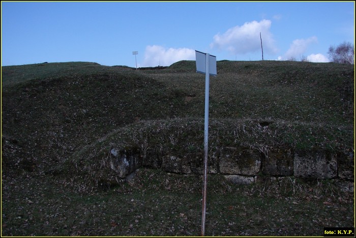 DSC01973 - Cetatea Blidaru 03-04-2010