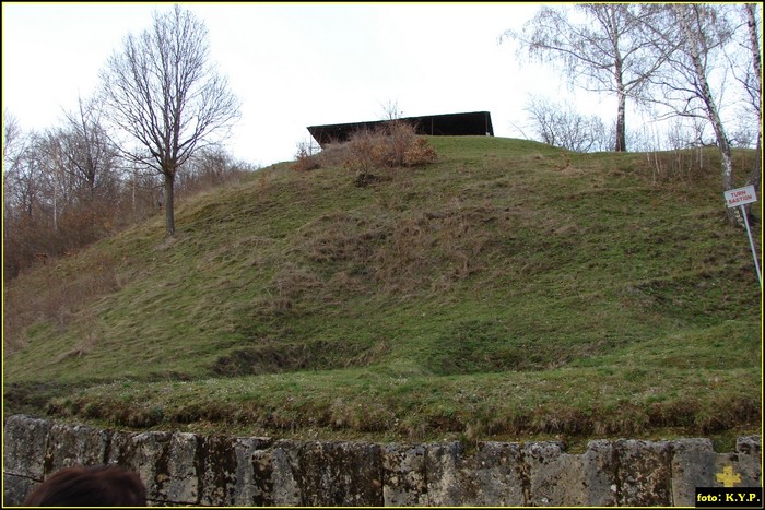 DSC01725 - Cetatea Cetatuia 02-04-2010