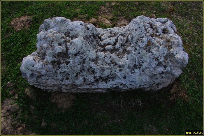 DSC02865 - Cetatea Sarmisegetuza Ulpia Traiana 04-04-2010
