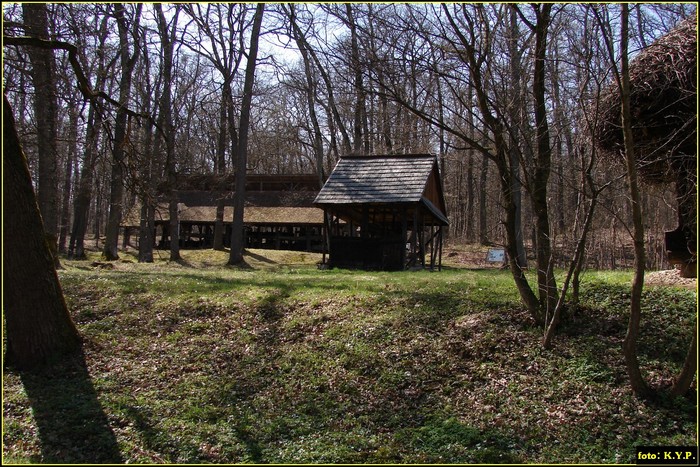 DSC01659 - Muzeul Astra Sibiu 02-04-2010