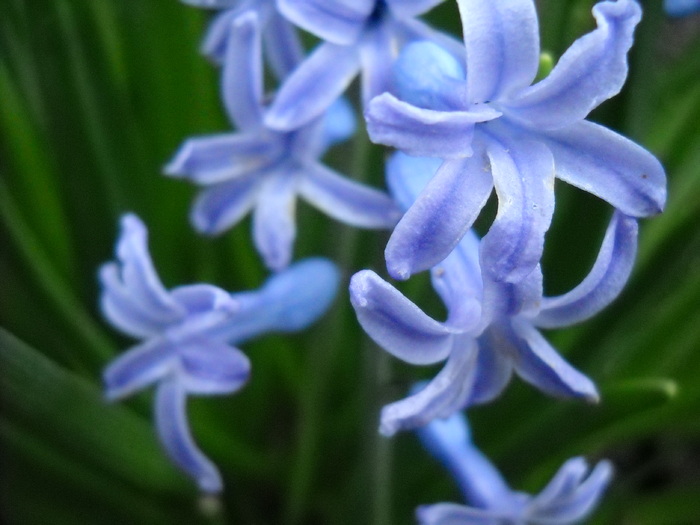 DSCN4308; 1.97mb jpeg 4/6/2010
