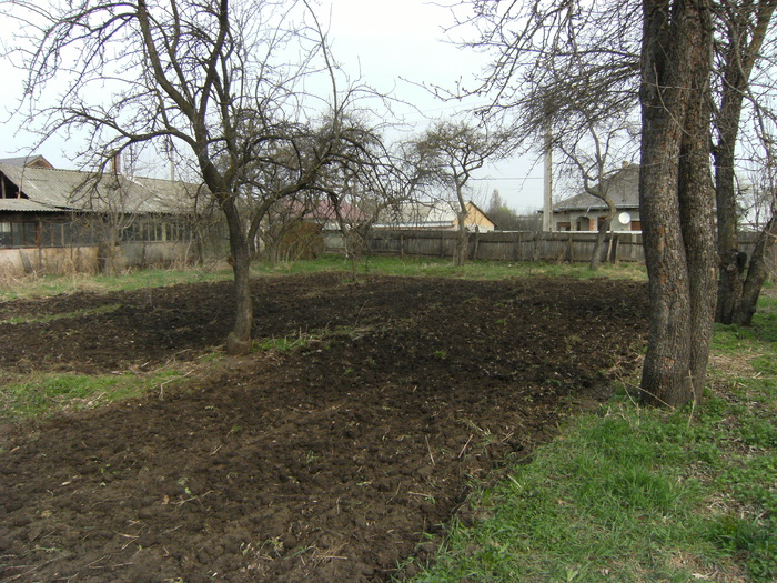 teren pregatit de campanie 2010 - la ocea
