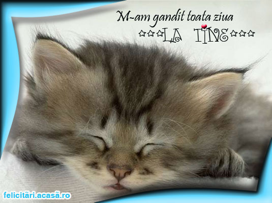 126_mamgandittoataziua