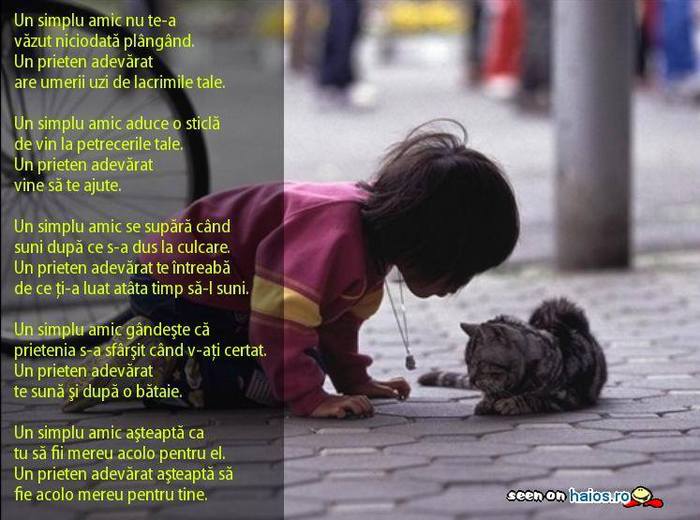 mesaje_messages_00978790012559053004adb981417efd389719966