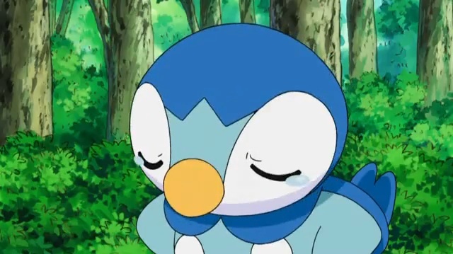 1 - Toate pozele mele din calc