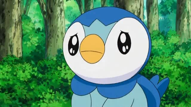 2 - Toate pozele mele din calc