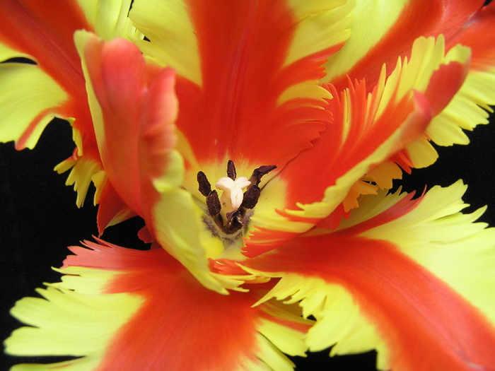 Sample03 - Toate pozele mele din calc