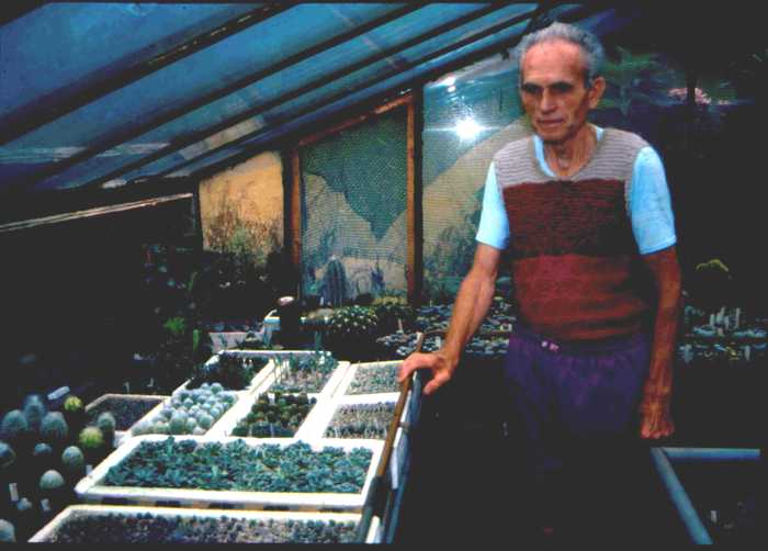 Sajti Sandor - Colectionari