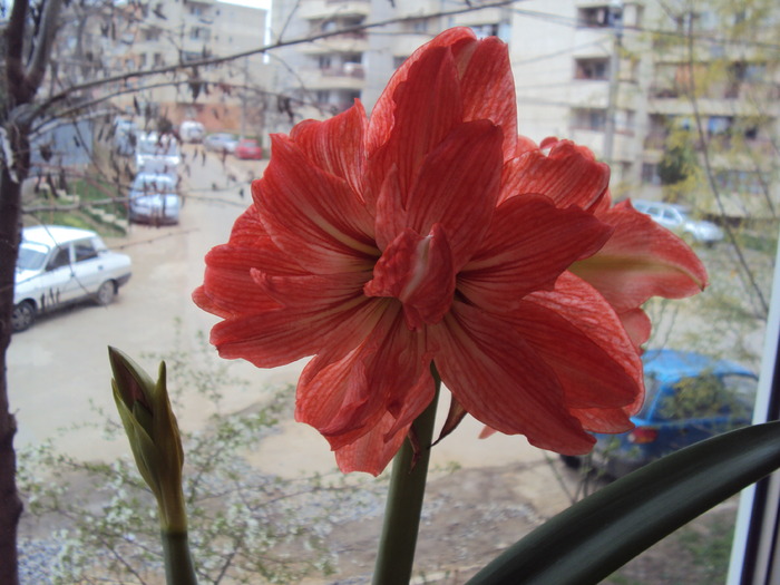 DSC00687