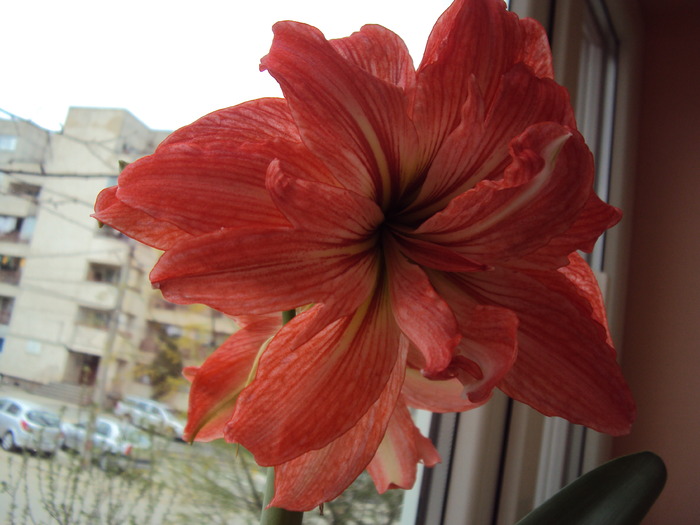 DSC00688