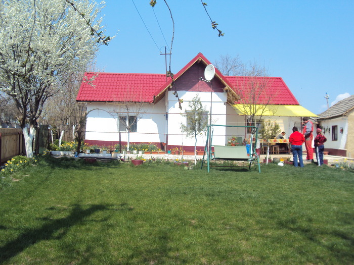 DSC00550 - gradina 2010