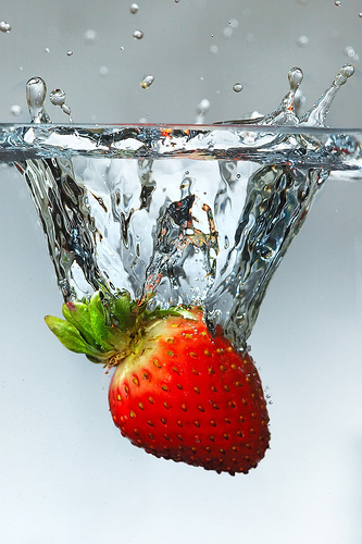 494876502_6876fb5359