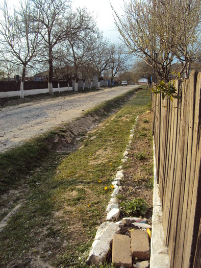 DSC00647 - gradina 2010