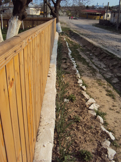 DSC00646 - gradina 2010