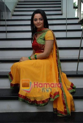 normal_at the launch of new serial Choti Bahu in Zee TV on 5th December 2008(10)