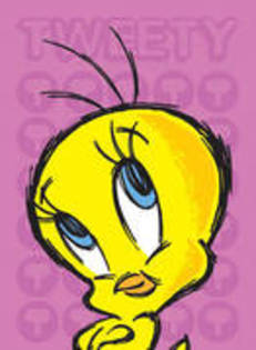 tweety - xXxTweetyxXx