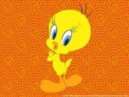 tweety - xXxTweetyxXx