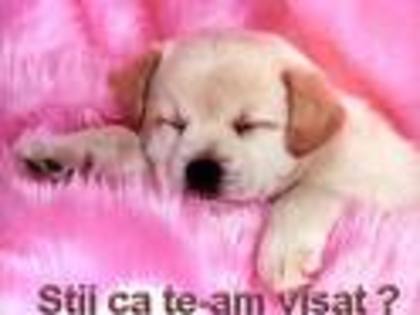 images[16]