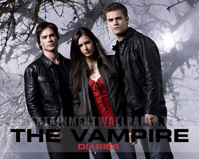 tv_the_vampire_diaries01 - AA00 VaMpIrE DiArIeS 00AA