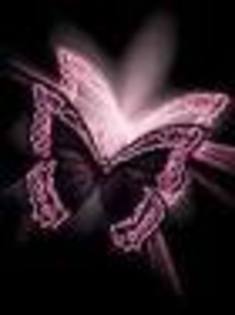 imagesfgthy