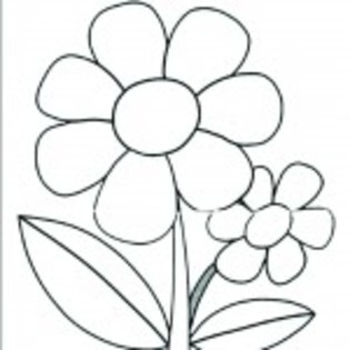 planse_de_colorat_flori-1-150x150