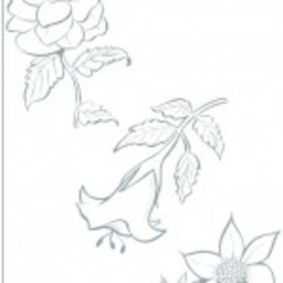planse_de_colorat_flori-10-150x150