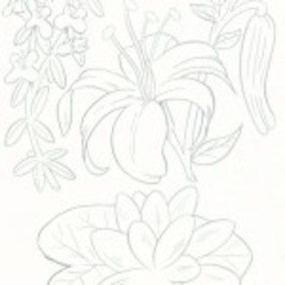 planse_de_colorat_flori-13-150x150