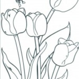 planse_de_colorat_flori-14-150x150