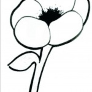 planse_de_colorat_flori-15-150x150