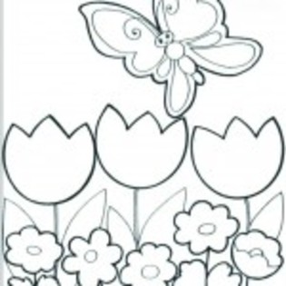 planse_de_colorat_flori-19-150x150