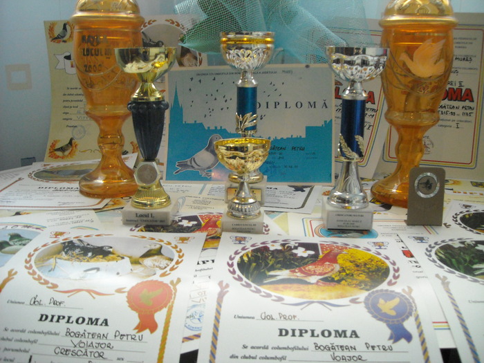 Printre primele Cupe - Cupe si Diplome