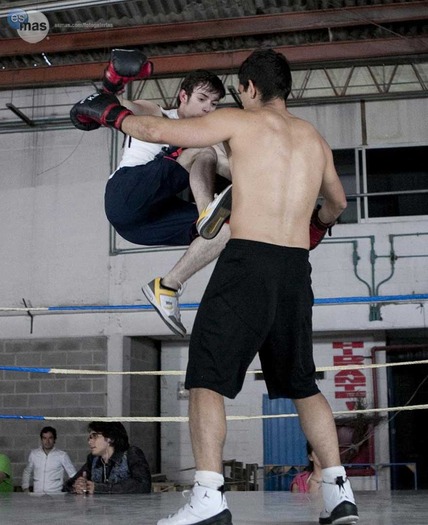 _12-0c8f5ac2-2f40-102d-a8fa-0019b9d5c8df - cameleonii-camaleones