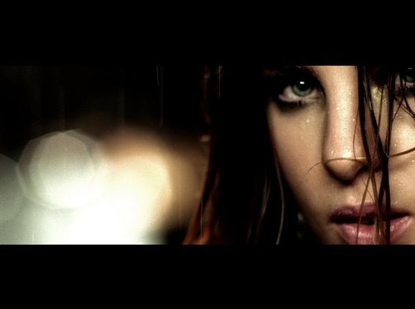 1228622957_l - cameleonii-camaleones