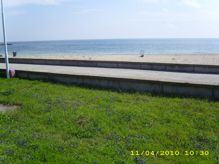 DSCI0622 - mangalia 11_4-2010