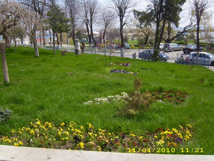 DSCI0691