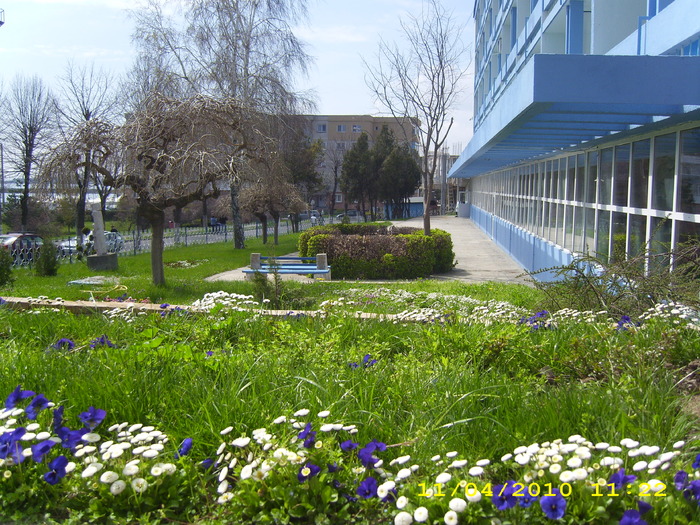 DSCI0692
