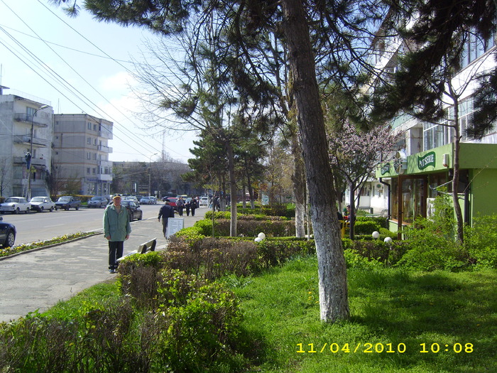 DSCI0595 - mangalia 11_4-2010