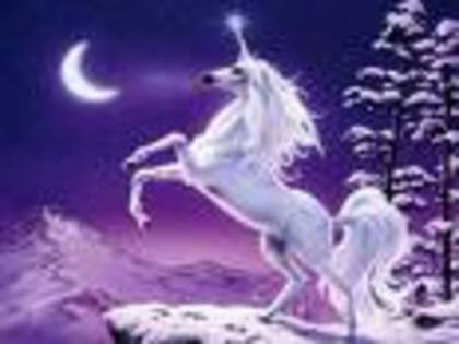 unicornul sub clar de luna - imagini de basm