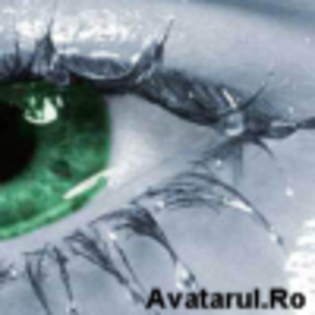 avatar_14