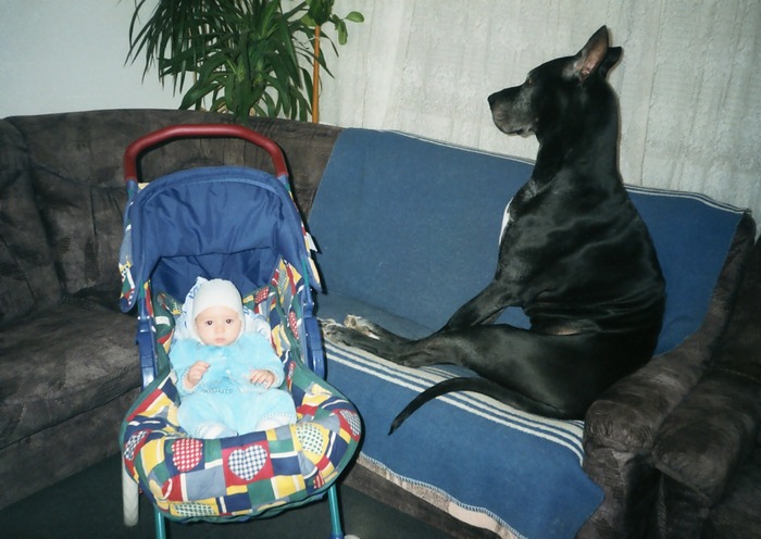 1998 - 0023 NERO