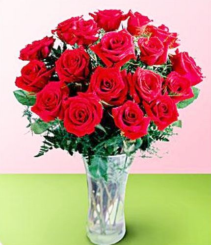 Trandafiri rosii - Limbajul florilor