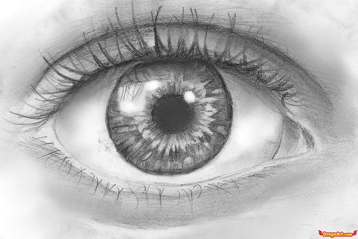 How to Draw an Eye in Pencil - How to Draw