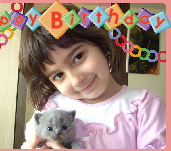 British Shorthair; 3 sapt Lulu pui
