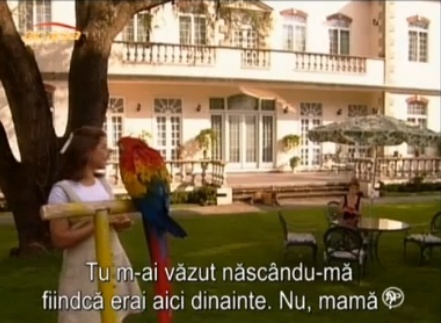 Tita si pasarea Mariei; ...
