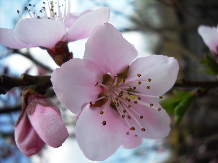 Picture 028; 1.54mb jpeg 4/13/2010
