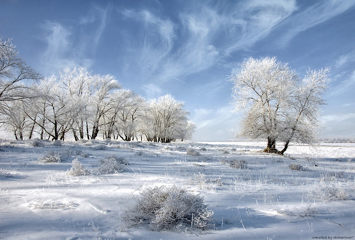 classical_russian_winter_by_doberman4ik - anotimpurile